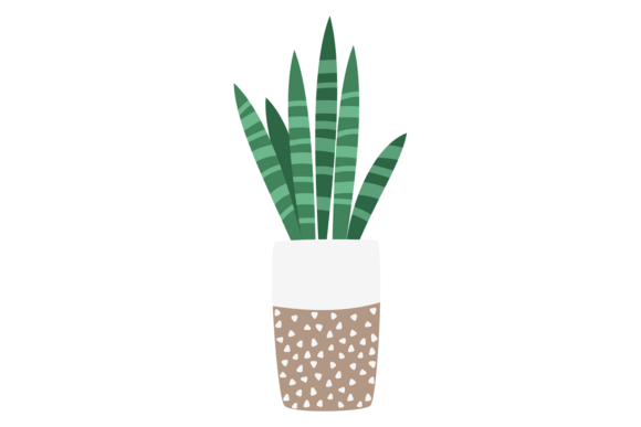 Aloe Cute Drawing for Graphics and Illustrations