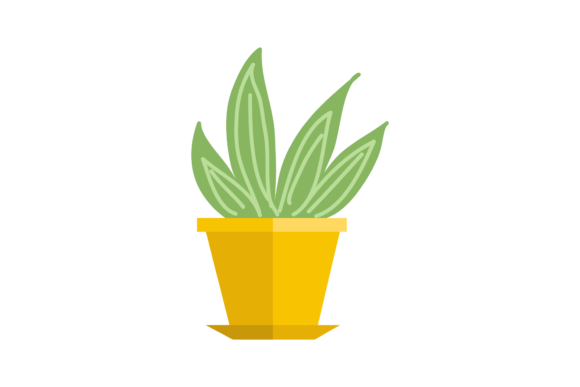 Decorative Plants: Premium Graphics & Illustrations