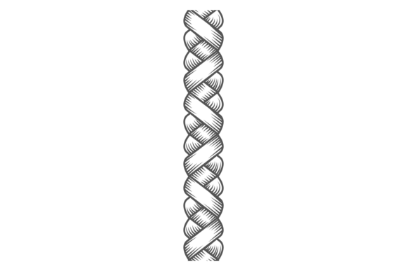 Plait Pattern Graphic for Modern Branding